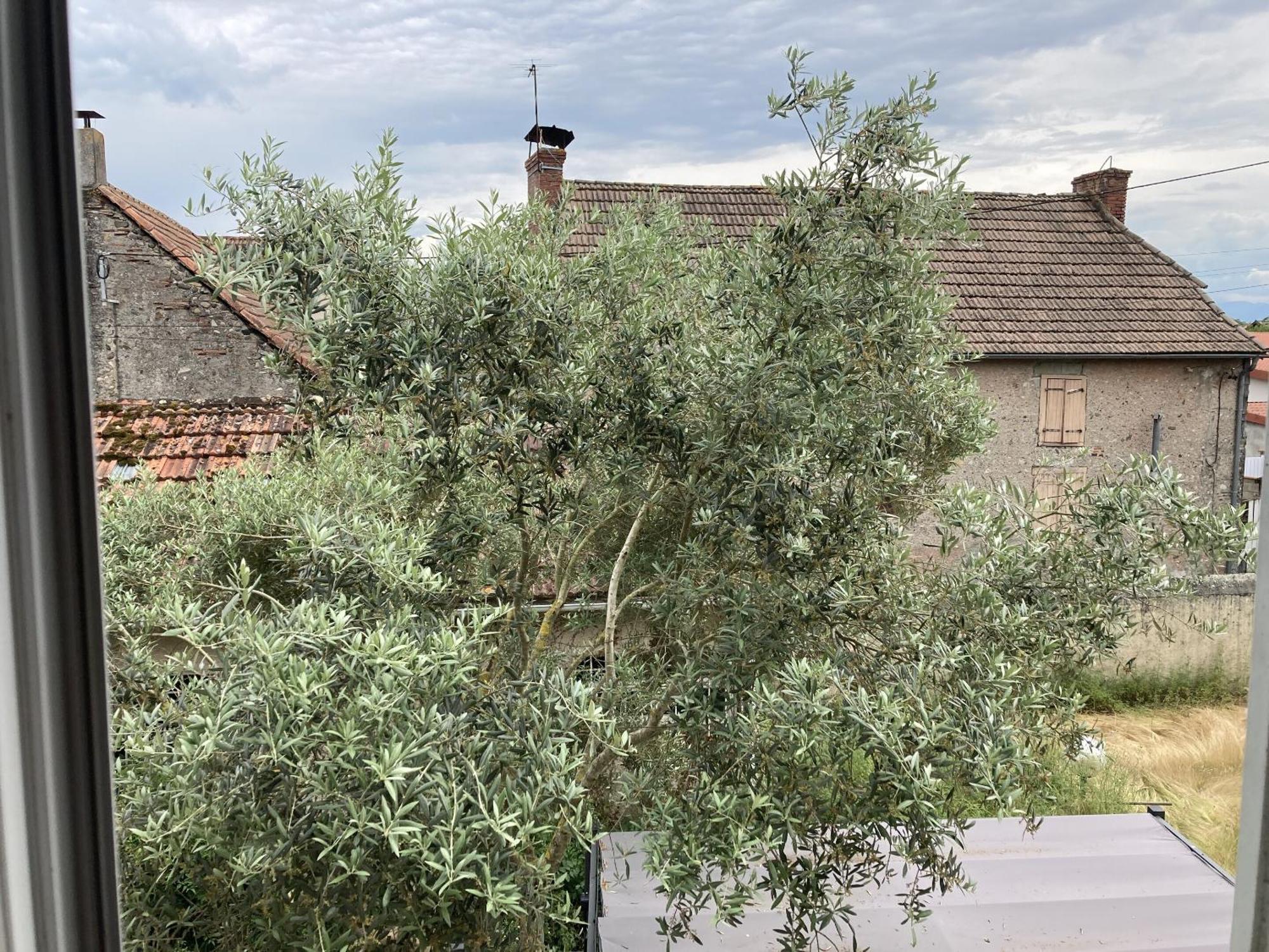 Location Appartement Des Pyrenees Borderes-sur-l'Echez 客房 照片
